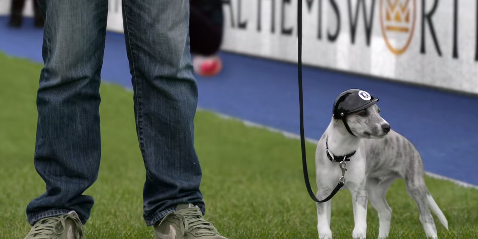 Little Macy Greyhound is hoping for a Richmond goal.